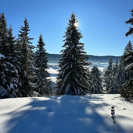Le Belvedere Des Deux Lacs Le Brey et Maison du Bois Exterior photo