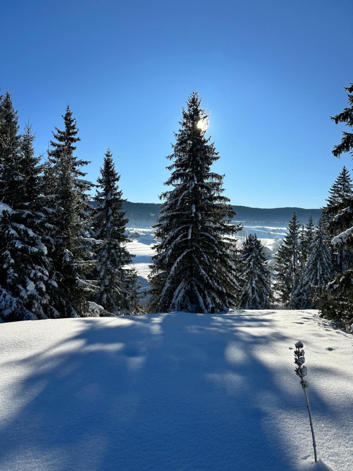 Le Belvedere Des Deux Lacs * Le Brey et Maison du Bois